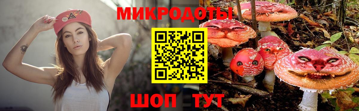 Псилоцибиновые грибы прущие грибы  Вход с VPN  Тара 