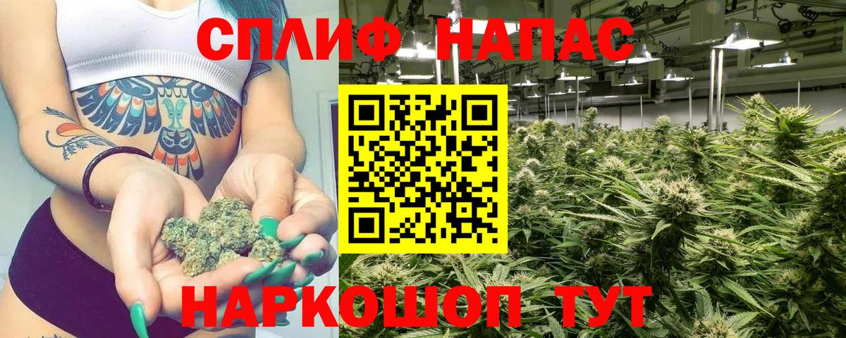 Марихуана индика  Вход с VPN  Марихуана VHQ  Канабис планчик  Тара 
